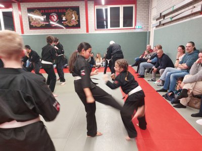 Klik voor een grotere weergave, 20260212_193438.jpg