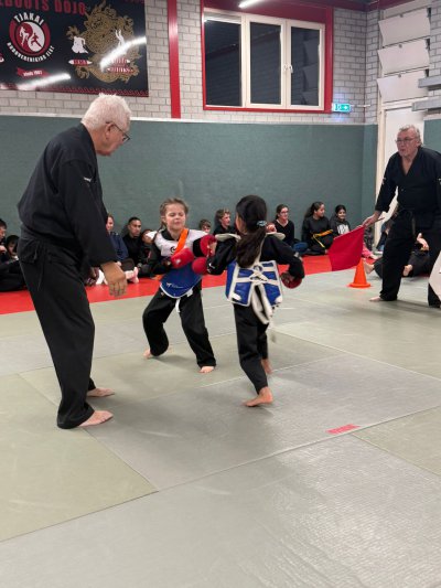 Klik voor een grotere weergave, RVIO8873.jpg